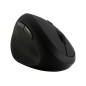 Kensington Pro Fit Ergo Wireless Mouse Trådløs Sort Kensington Pro Fit Ergo Wireless Mouse Trådløs Sort